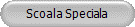 Scoala Speciala