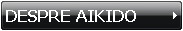DESPRE AIKIDO